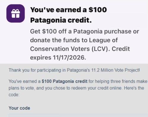 Patagonia Free $100 Credit Glitch deal at Patagonia