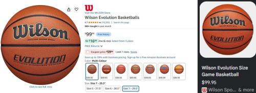 Wilson Evo Basketball $40 Off - Now $59
